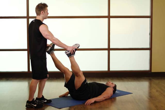 Adductor/Groin - view 2