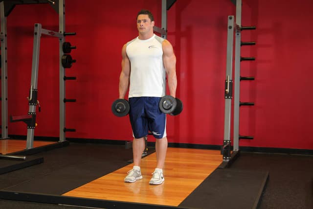 Dumbbell Rear Lunge