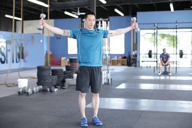 Dumbbell Scaption - view 2