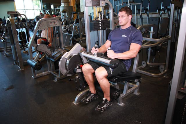 Seated Leg Curl - view 2