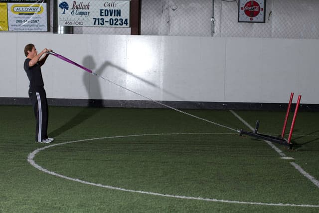 Sled Reverse Flye - view 2