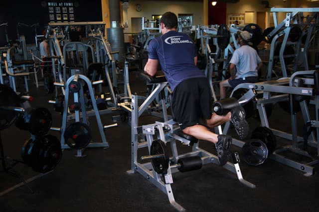 Standing Leg Curl - view 2