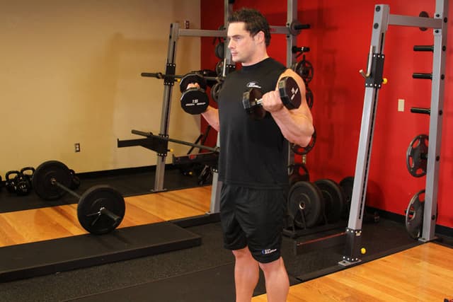 Zottman Curl - view 2