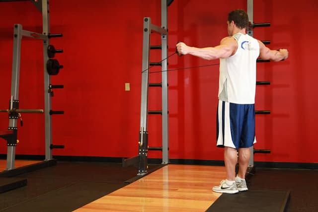 Back Flyes - With Bands - view 2