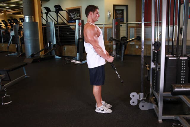 Cable Hammer Curls - Rope Attachment