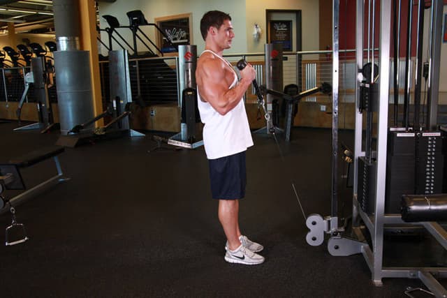 Cable Hammer Curls - Rope Attachment - view 2