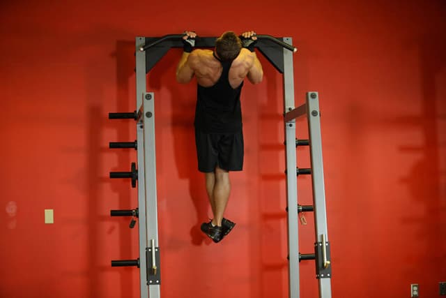 Gironda Sternum Chins - view 2