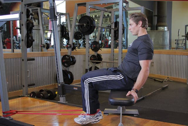 Seated Band Hamstring Curl - view 2