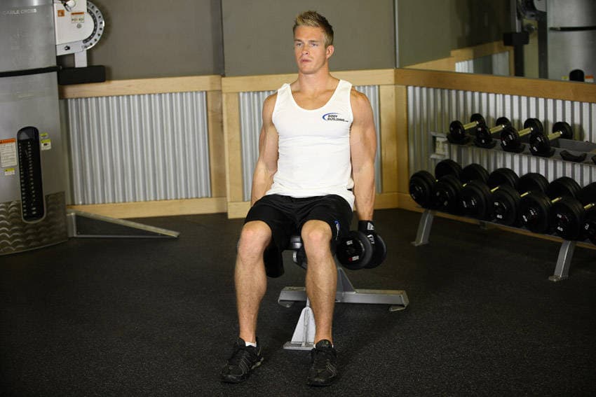 Seated Dumbbell Inner Biceps Curl