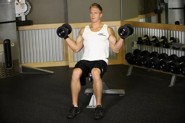 Seated Dumbbell Inner Biceps Curl - view 2