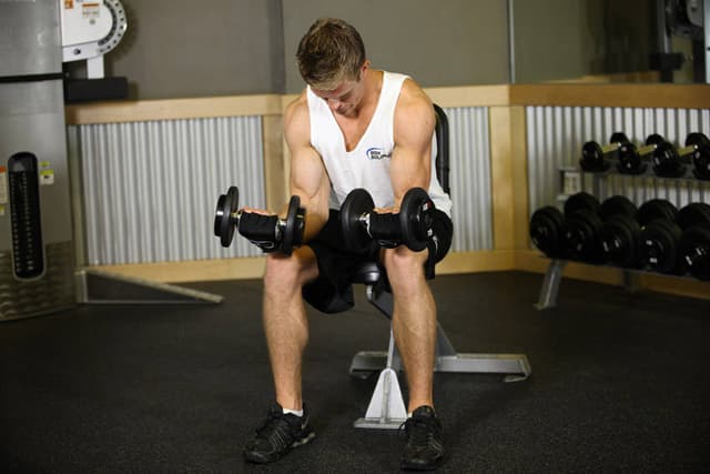 Seated Dumbbell Palms-Up Wrist Curl - view 2