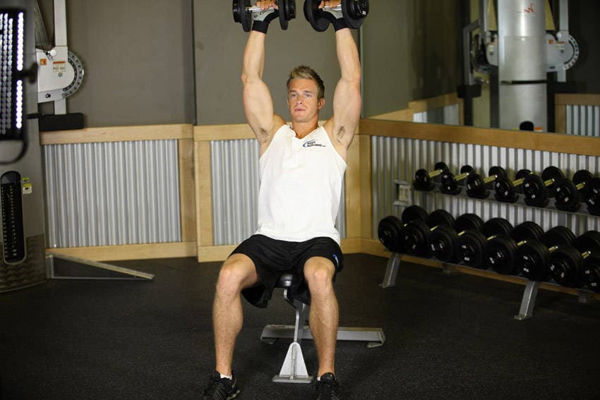 Seated Dumbbell Press