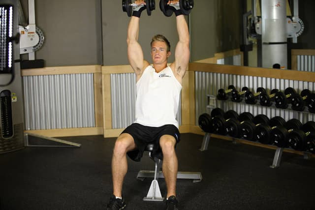Seated Dumbbell Press