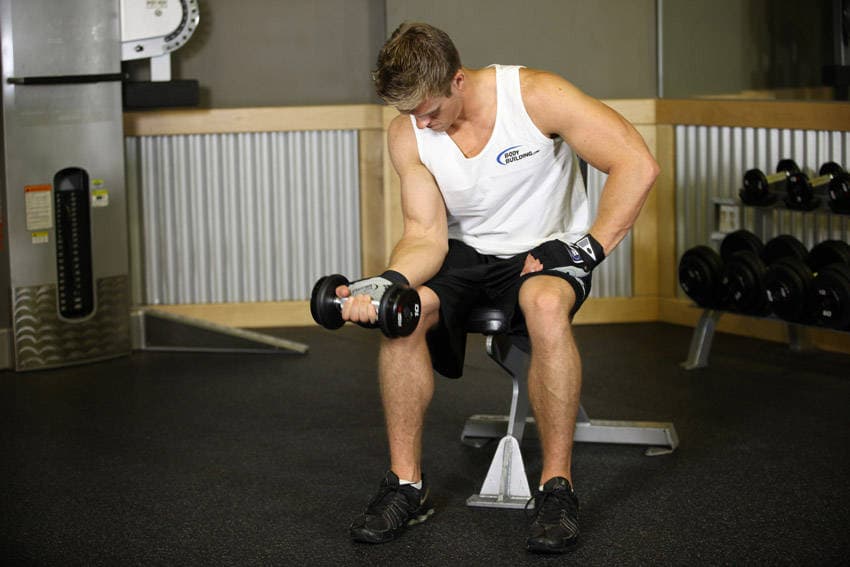 Seated One-Arm Dumbbell Palms-Up Wrist Curl