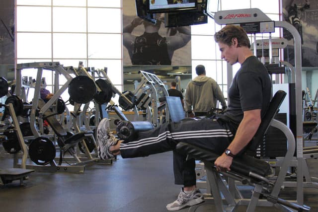 Single-Leg Leg Extension - view 2