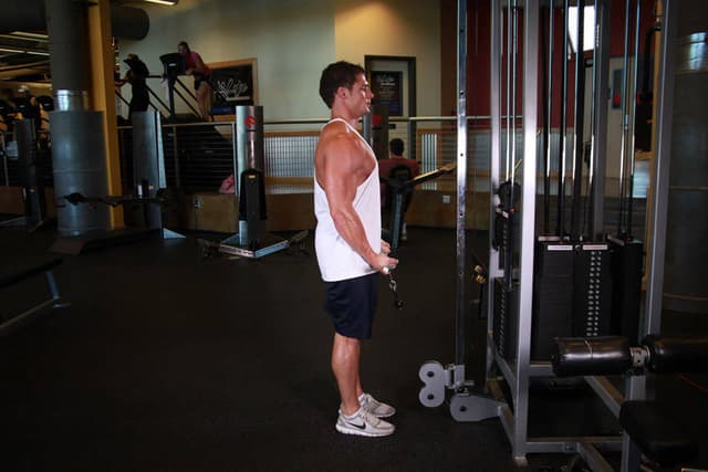 Standing Biceps Cable Curl