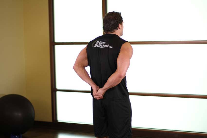 Standing Biceps Stretch