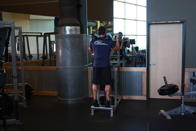 Standing Calf Raises - view 2