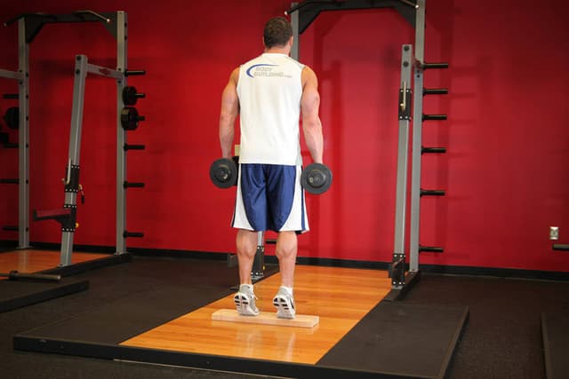 Standing Dumbbell Calf Raise - view 2