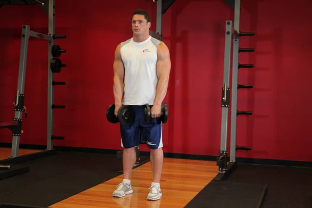 Standing Dumbbell Upright Row - view 2