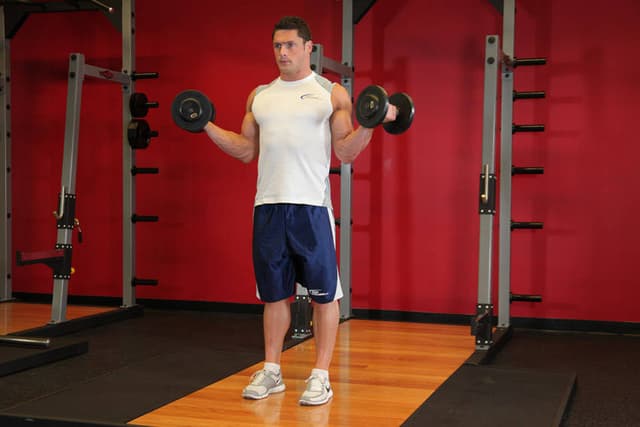 Standing Inner-Biceps Curl - view 2