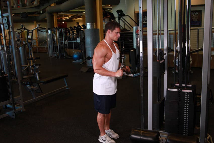 Triceps Pushdown - V-Bar Attachment