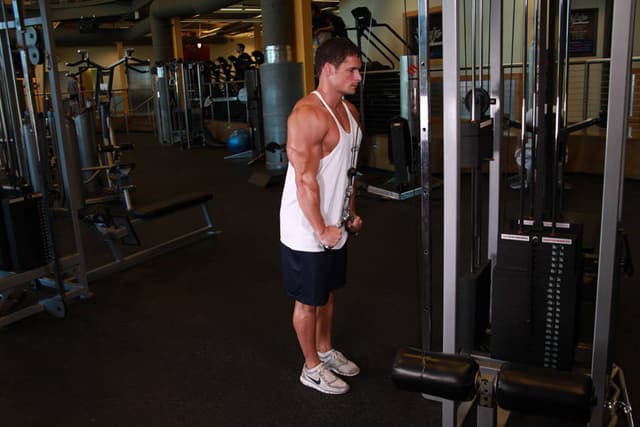Triceps Pushdown - V-Bar Attachment - view 2